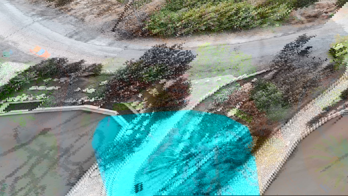 מעיינות נדירים מתוך ספר "המקומות הנדירים הקדושים והרטובים בארץ ישראל"