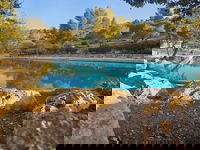 אגמון התמרים ( מתוך ספר "המקומות הנדירים הקדושים והרטובים בארץ ישראל")