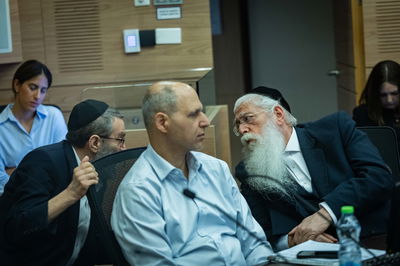 גפני ופרוש | ארכיון