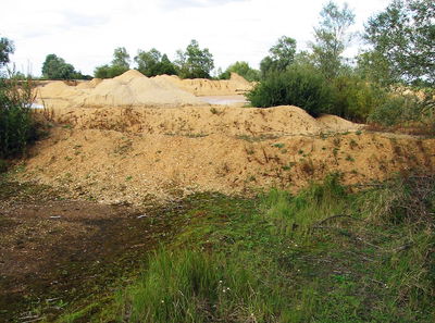 שלט המזהיר מפני טביעה, בקרבת חול טובעני באנגליה