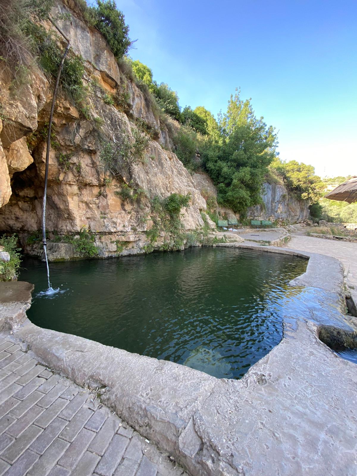 מעיינות נדירים מתוך ספר "המקומות הנדירים הקדושים והרטובים בארץ ישראל"