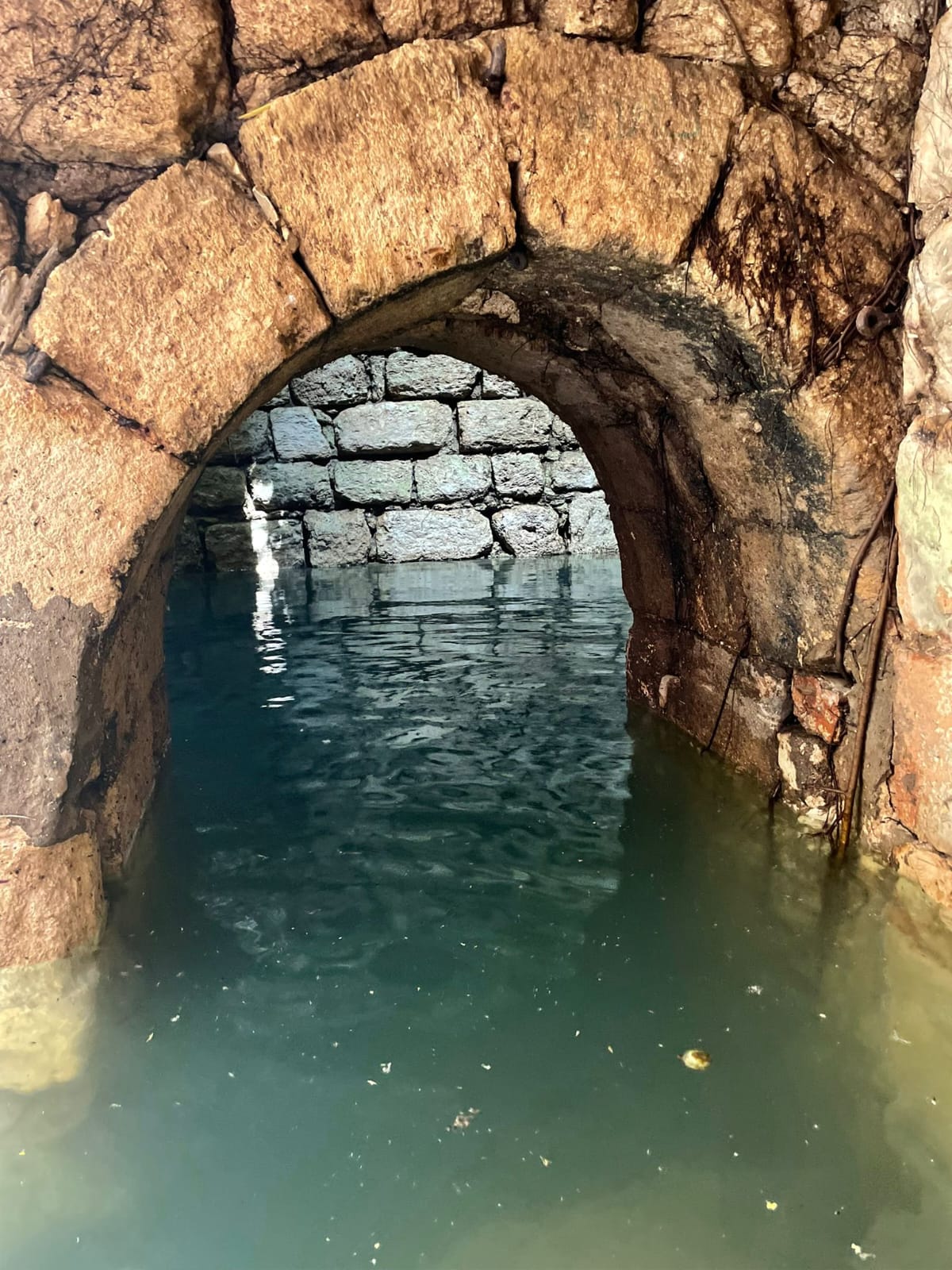 מעיינות נדירים מתוך ספר "המקומות הנדירים הקדושים והרטובים בארץ ישראל"