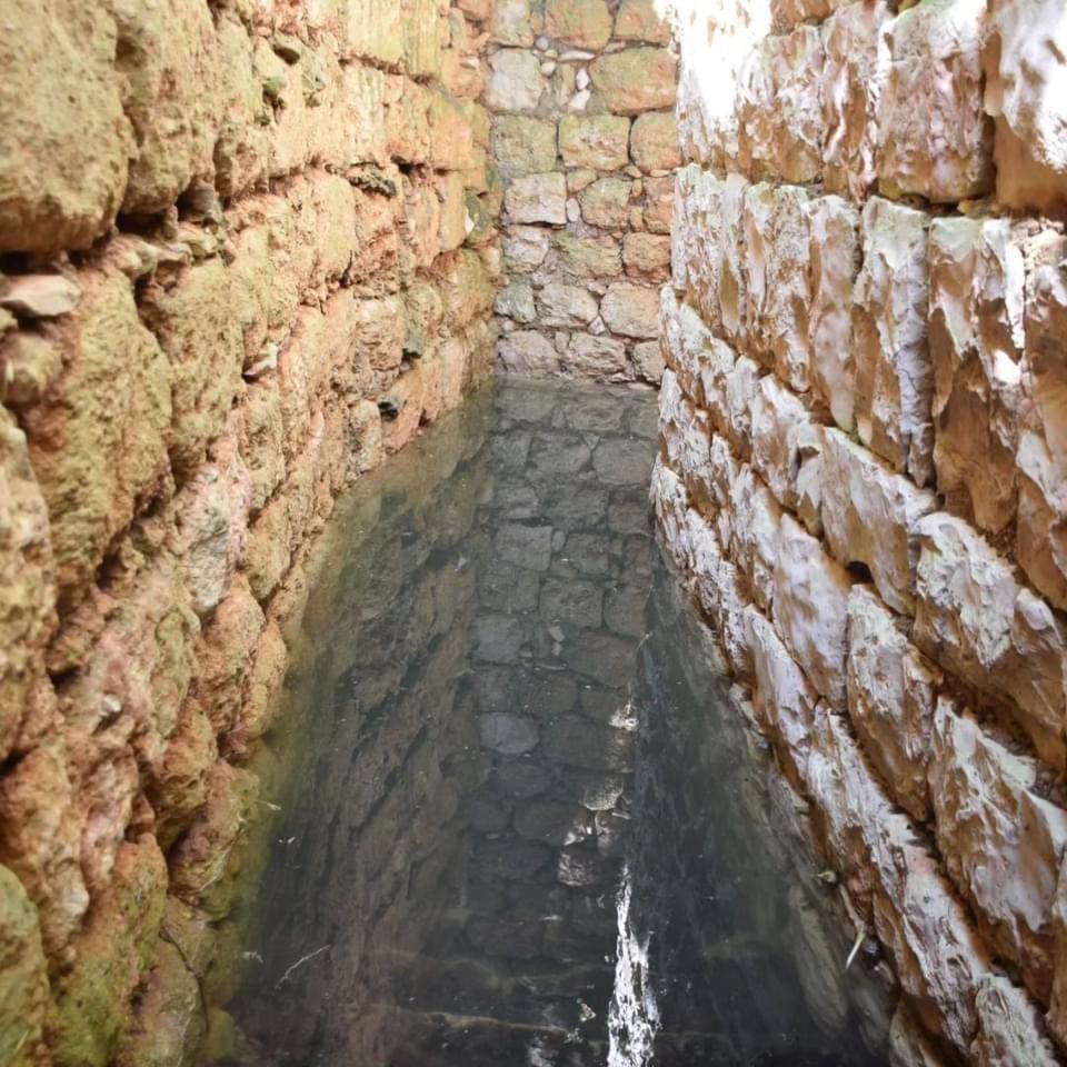 מעיינות נדירים מתוך ספר "המקומות הנדירים הקדושים והרטובים בארץ ישראל"