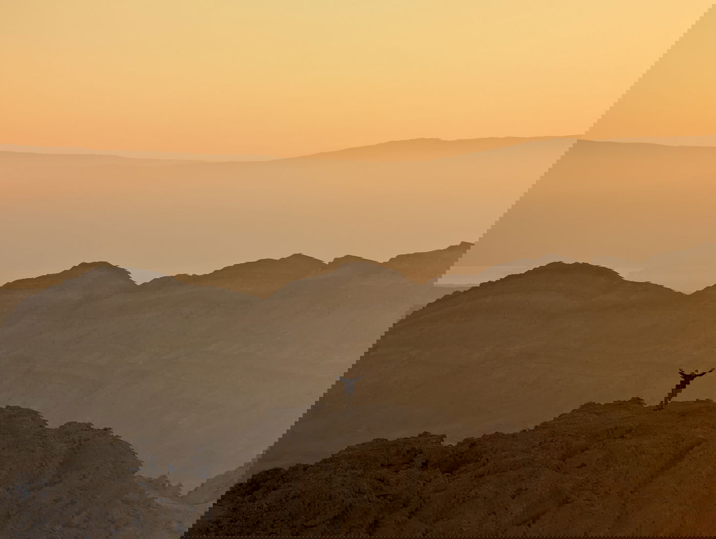 תצפיות נדירות מתוך ספר "המקומות הנדירים הקדושים והרטובים בארץ ישראל"