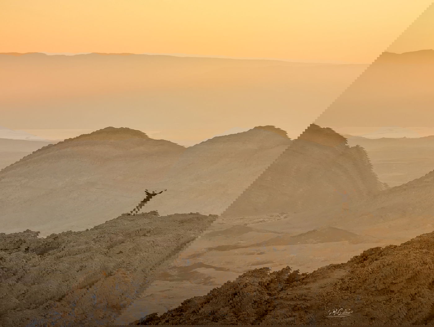 תצפיות נדירות מתוך ספר "המקומות הנדירים הקדושים והרטובים בארץ ישראל"