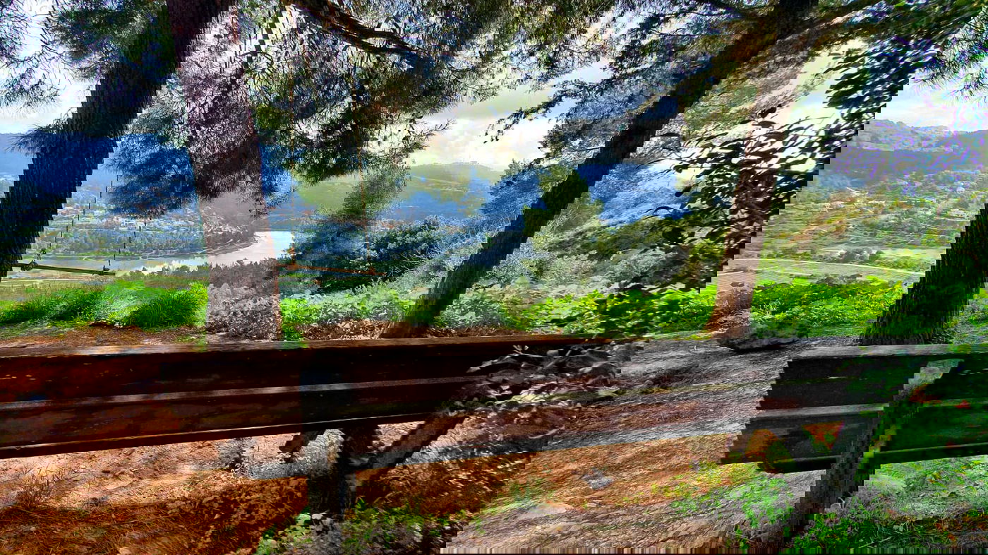 תצפית נהדרת מתוך ספר "המקומות הנדירים הקדושים והרטובים בארץ ישראל"