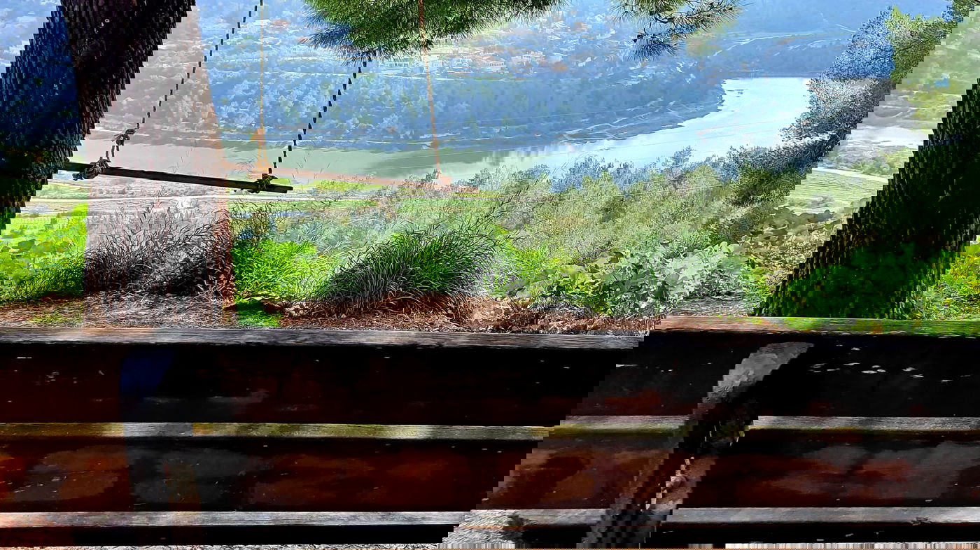 תצפית נהדרת מתוך ספר "המקומות הנדירים הקדושים והרטובים בארץ ישראל"