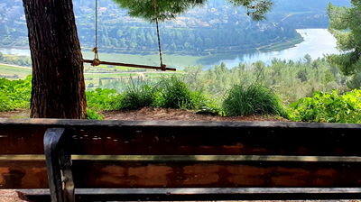 תצפית נהדרת מתוך ספר "המקומות הנדירים הקדושים והרטובים בארץ ישראל"