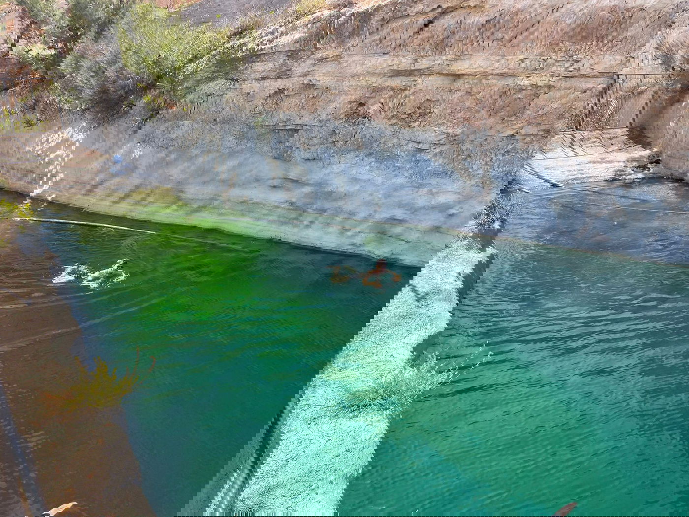 מעיינות נדירים מתוך ספר "המקומות הנדירים הקדושים והרטובים בארץ ישראל"