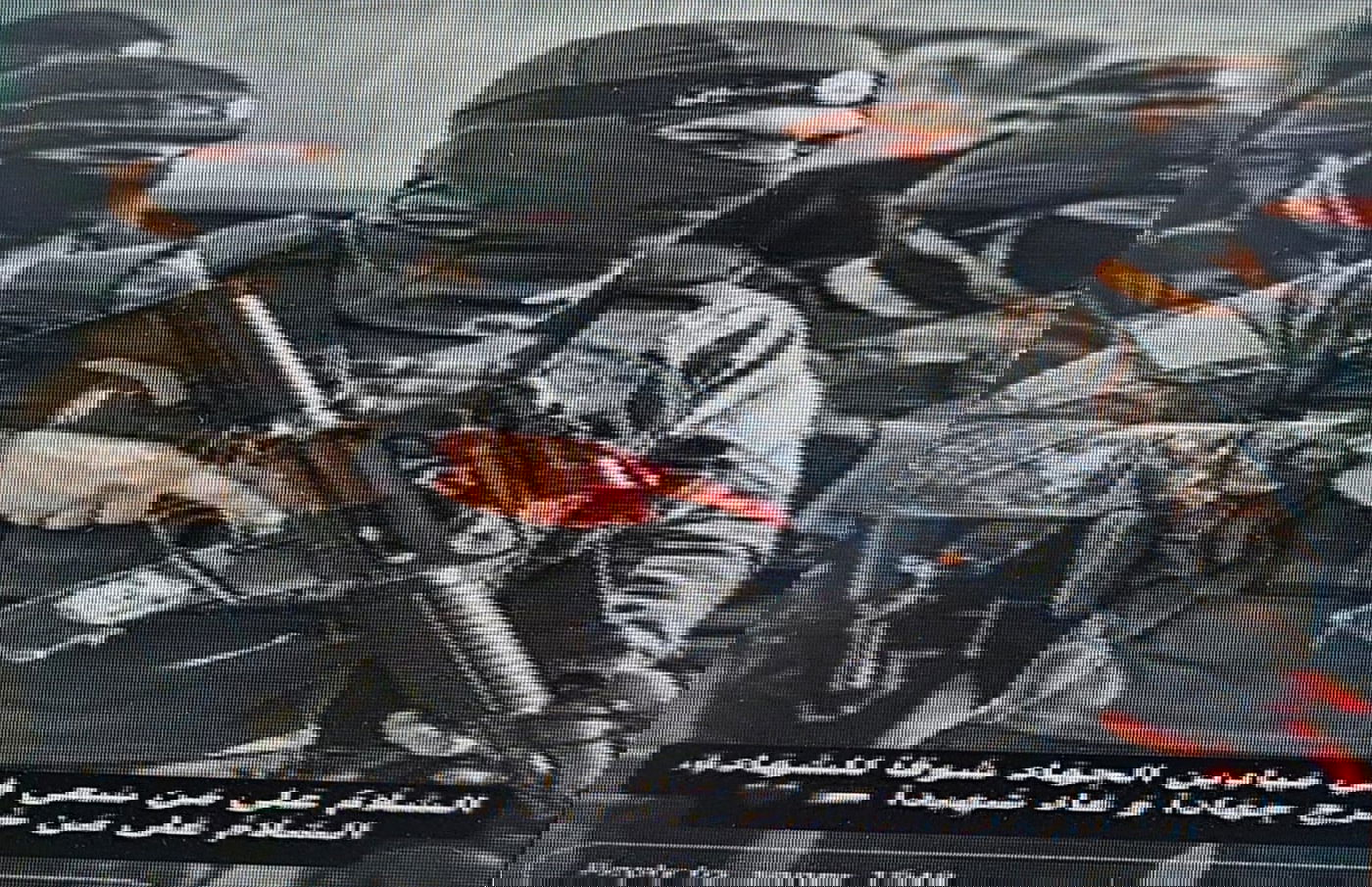 הפרסומים של החשוד ברשתות החברתיות