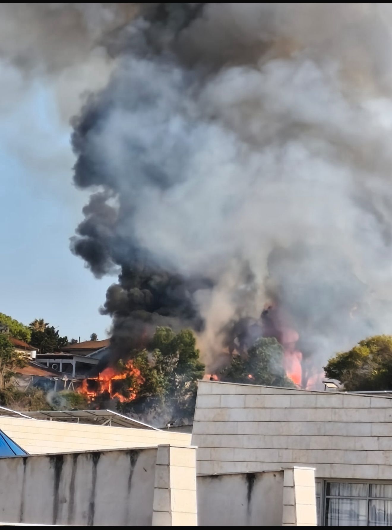 תיעוד השריפה