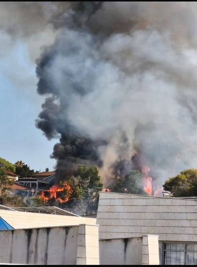 תיעוד השריפה