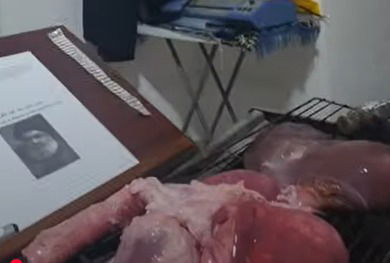 הטקס שערך המקובל הרב תורג'מן לנסראללה