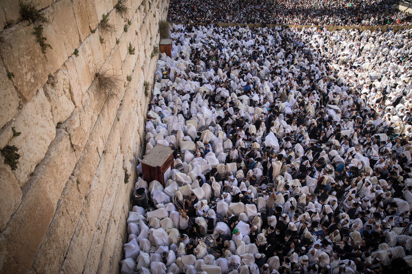 הכותל המערבי 