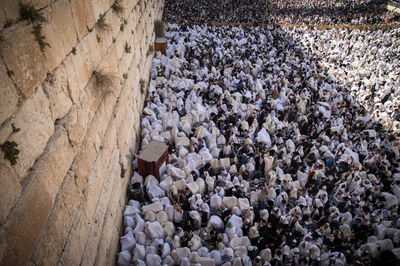 הכותל המערבי 