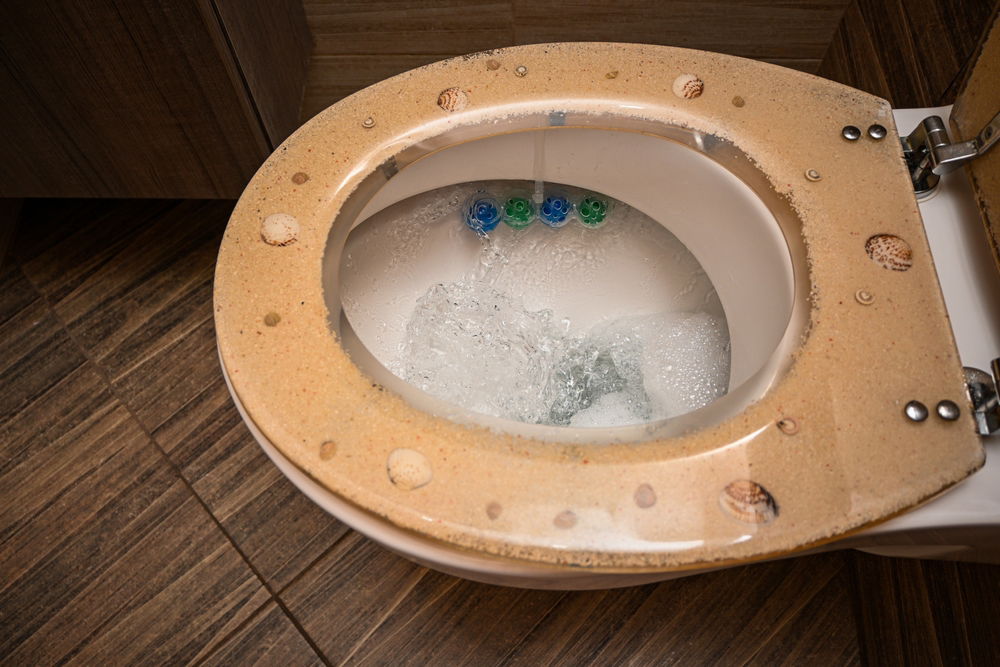 ריחן קטן שעושה את ההבדל