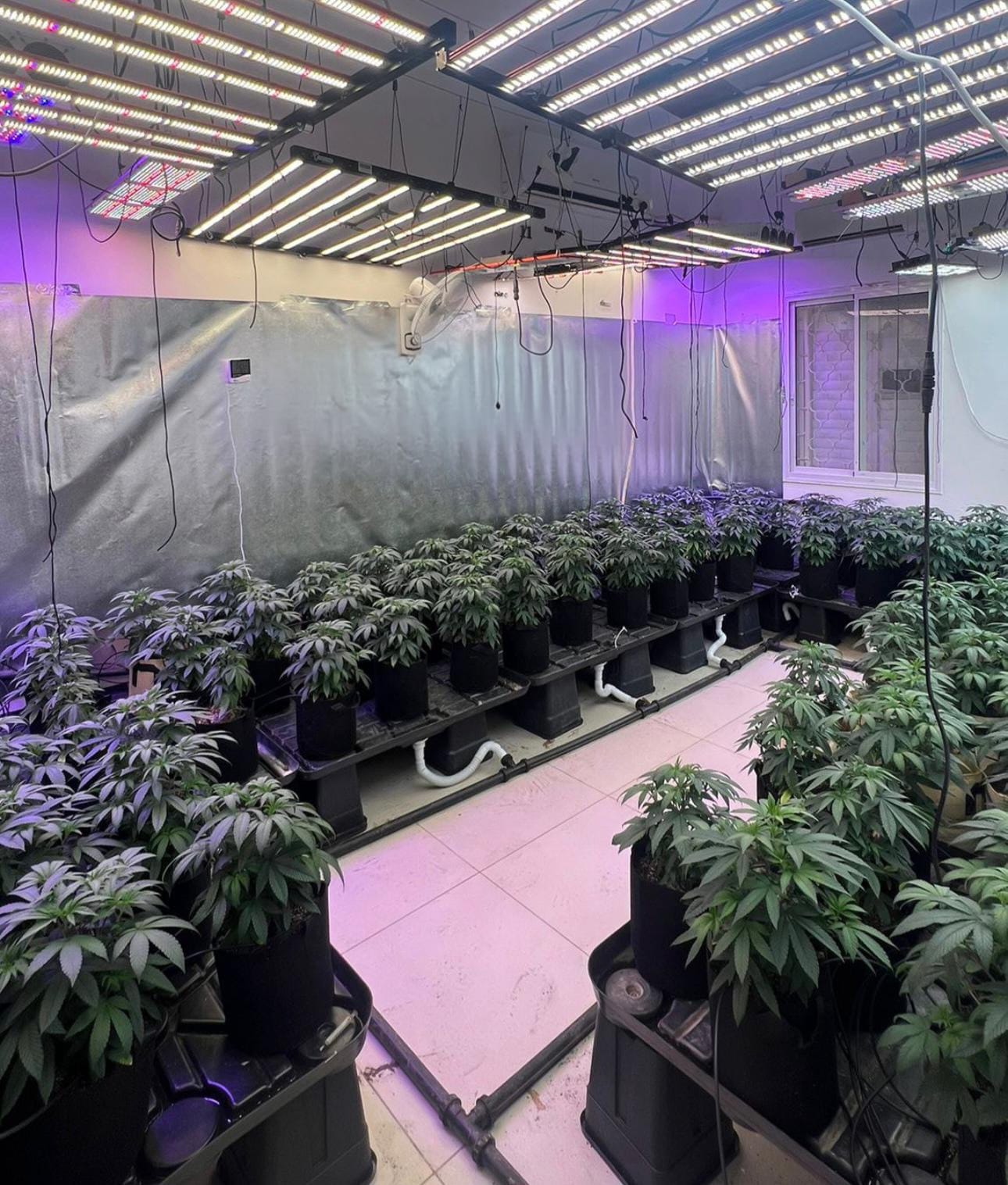 מעבדת הסמים שנתפסה