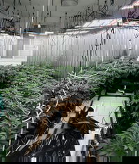 מעבדת הסמים שנתפסה