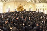 פרשת תולדות