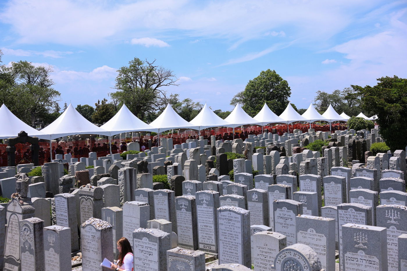 חום לוהט, המתנה של שעות: מכל העולם עמדו בתור לציון הרבי מליובאוויטש