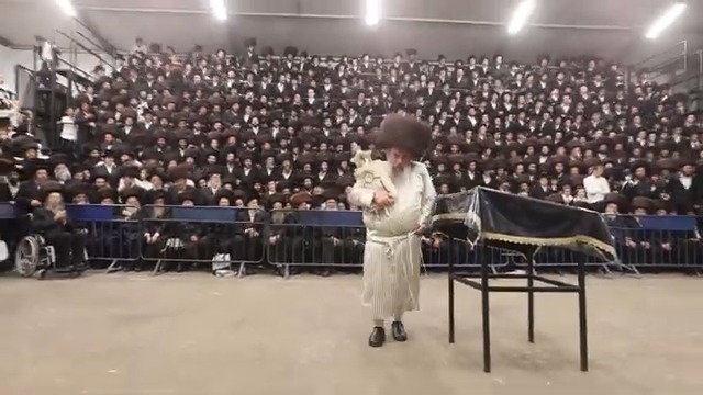 הכנסת ספר תורה ע"י האדמו"ר מלעלוב
