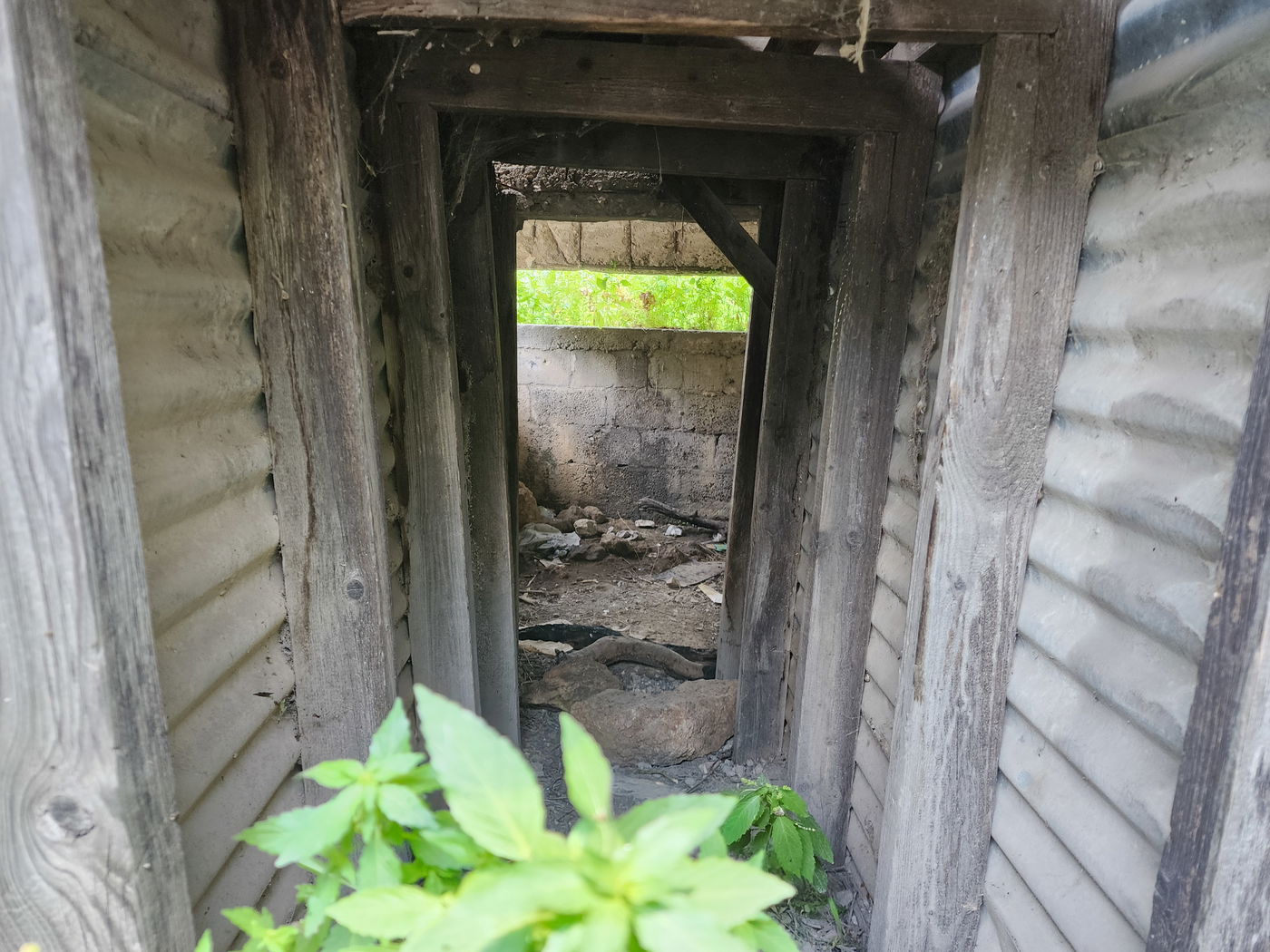 'מעלות יהונתן' - תצפית השנים מתל גמזו