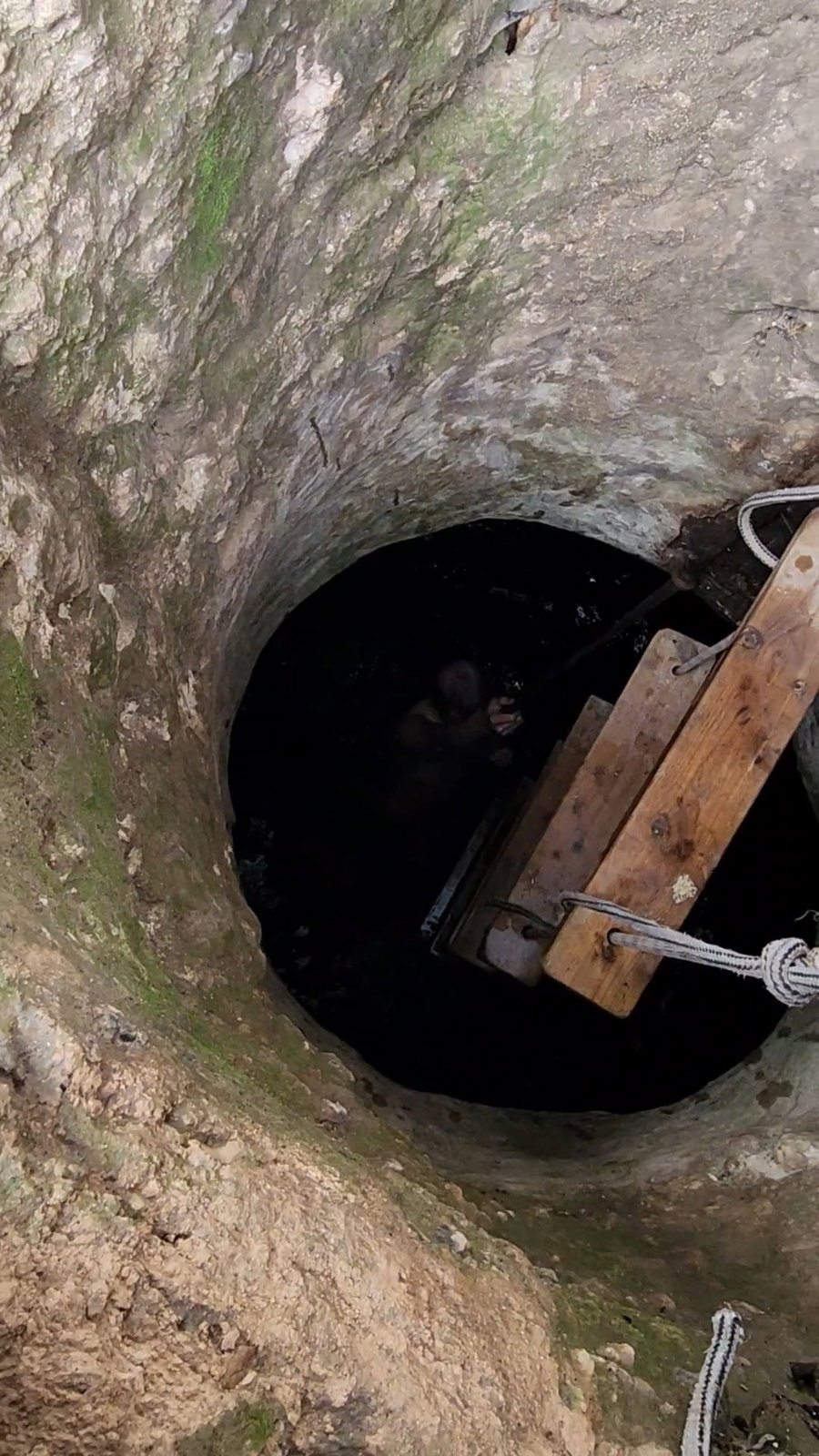 בור הטבילה העתיק שהיה בעבר בפאתי תל גמזו