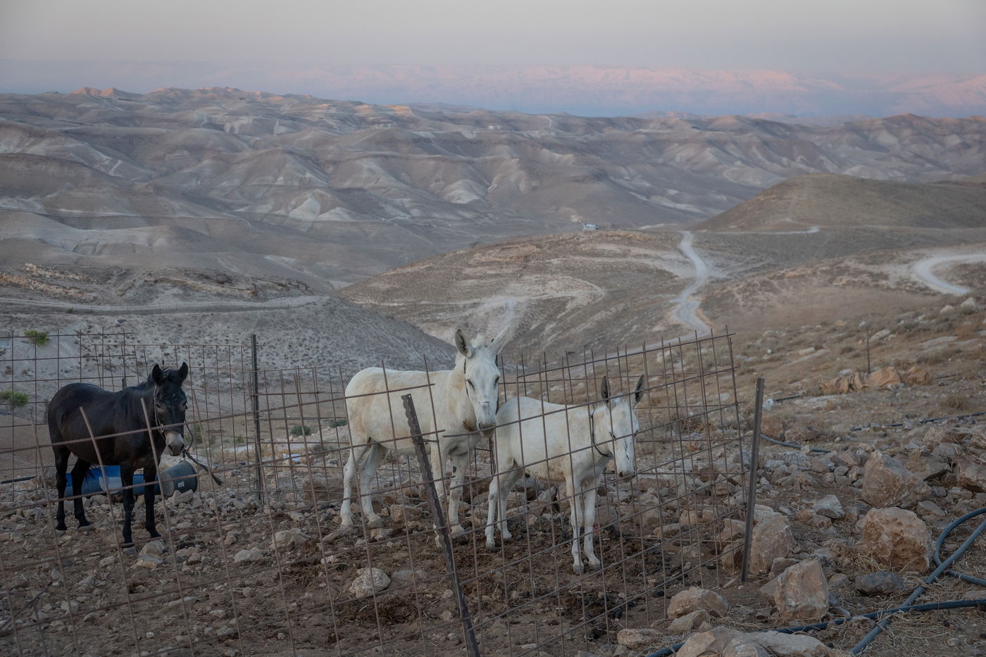 התחזית: עומסי חום כבדים עד קיצוניים | מחר: ירידה בטמפרטורות 