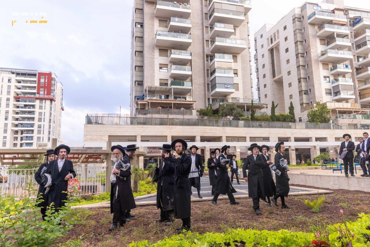 המחאות ביהוד