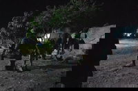 לוחמי צה"ל במבצע המעצר בסוריה