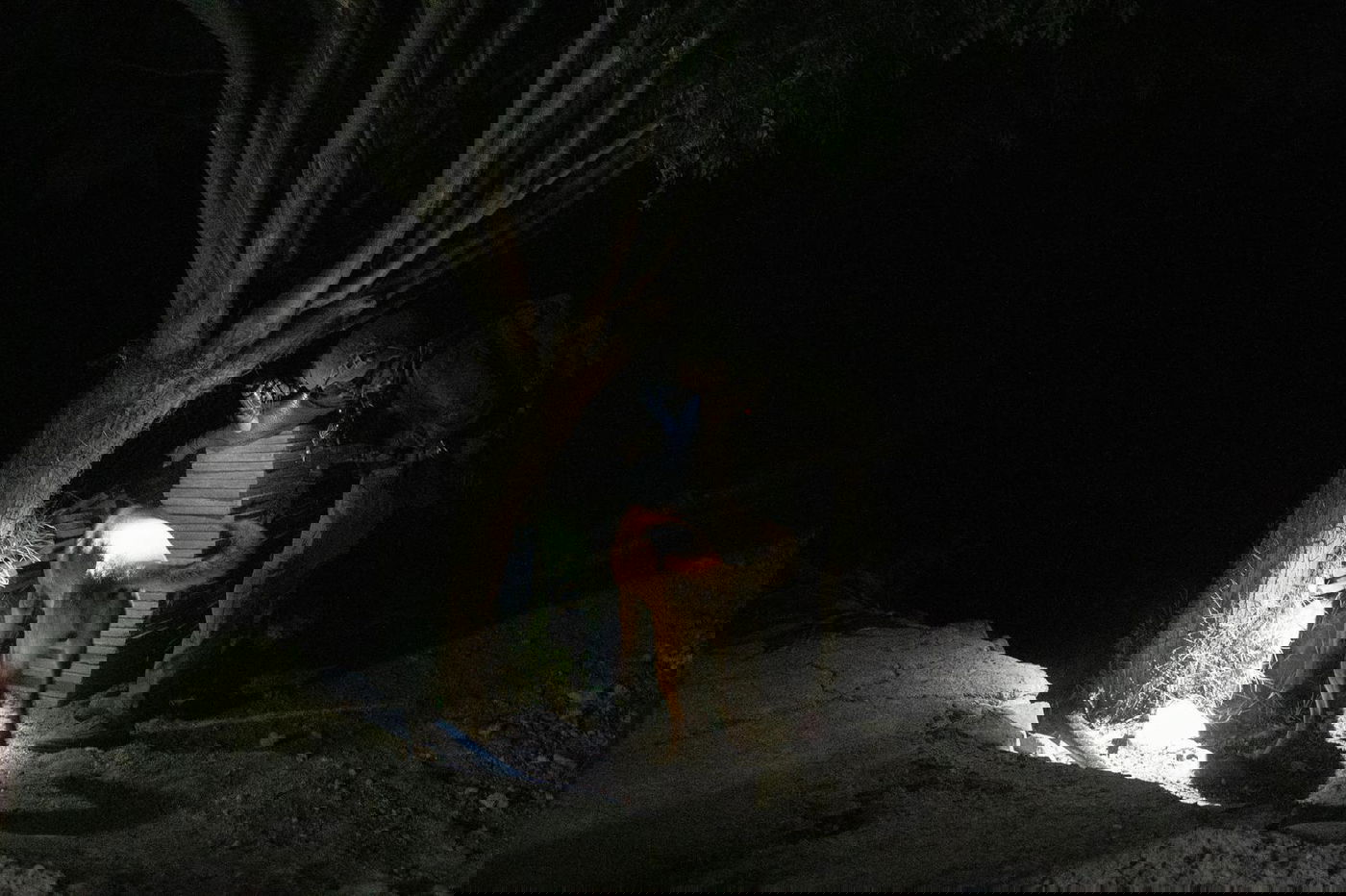 לוחמי צה"ל במבצע המעצר בסוריה