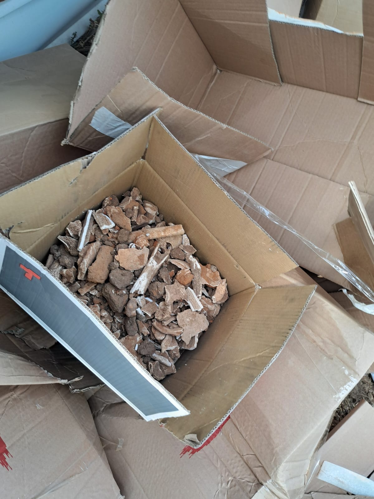 שלדי עצמות השבוע ביהוד