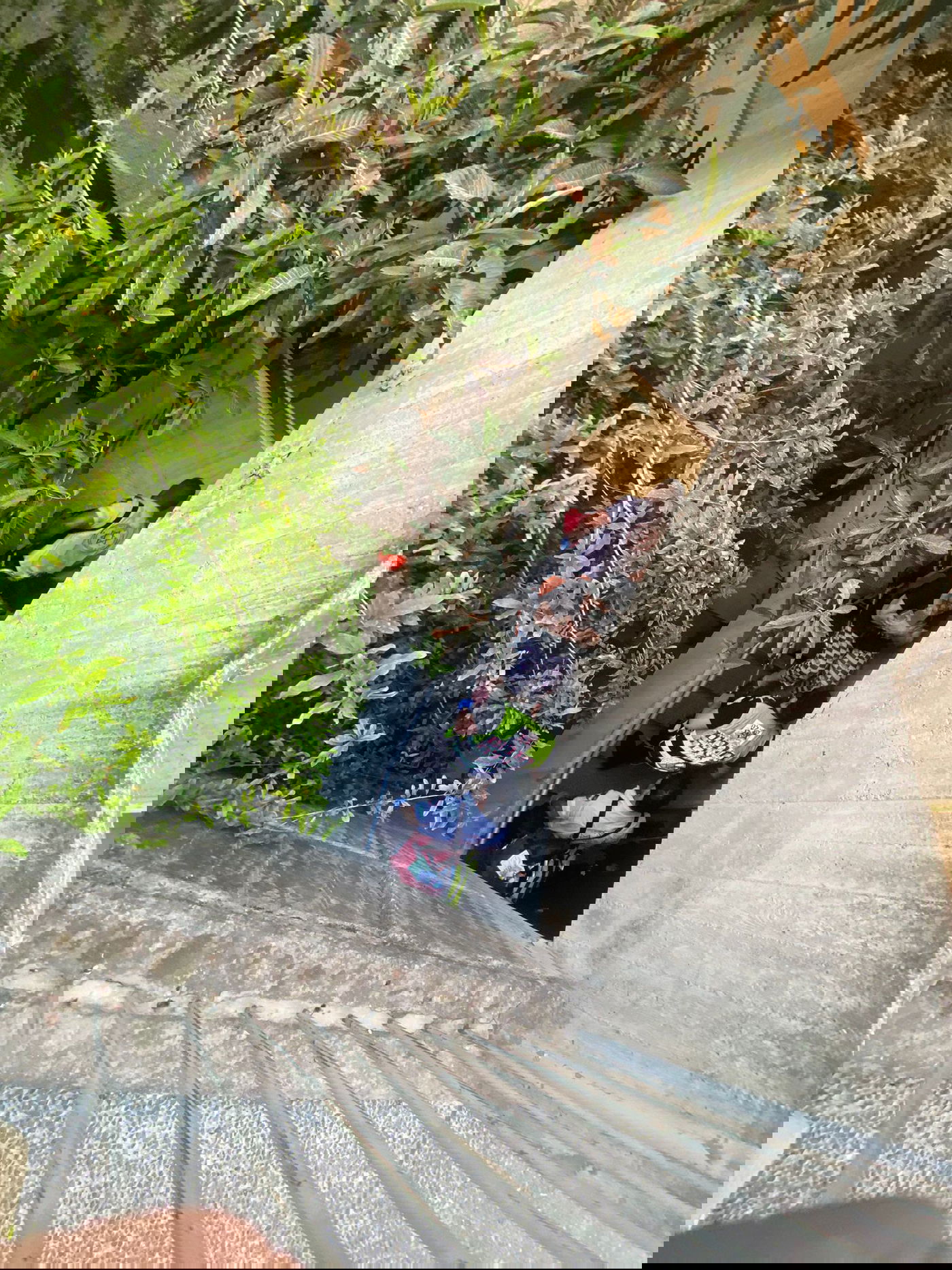 השריפה בחיפה