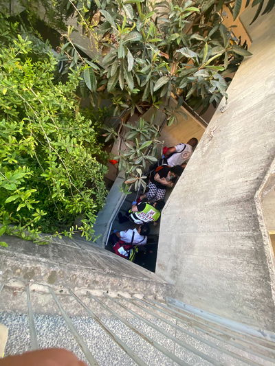 השריפה בחיפה