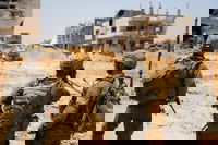 פעילות כוחות צה"ל ברצועה