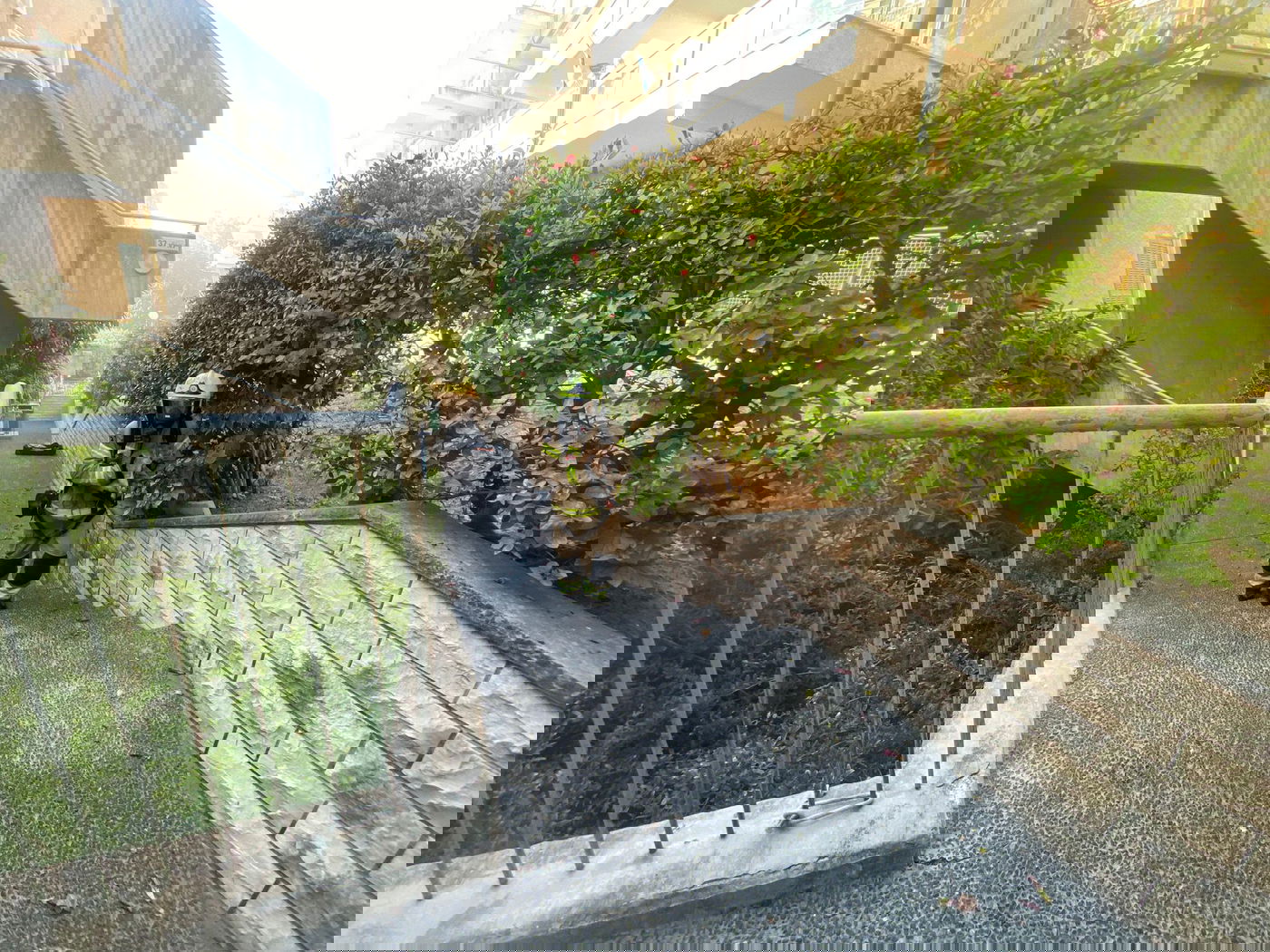 השריפה בחיפה