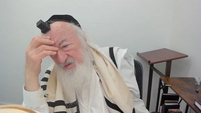 בואו לסיים ש"ס תוך שנה | השיעור היום: מסכת בבא בתרא פ"ה-צ"ב