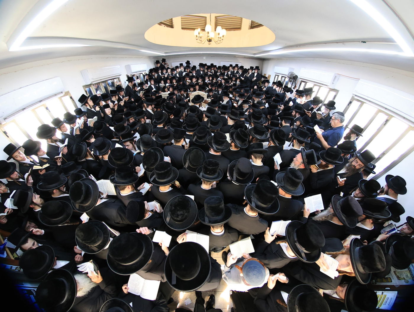 הילולא קדישא בצאנז