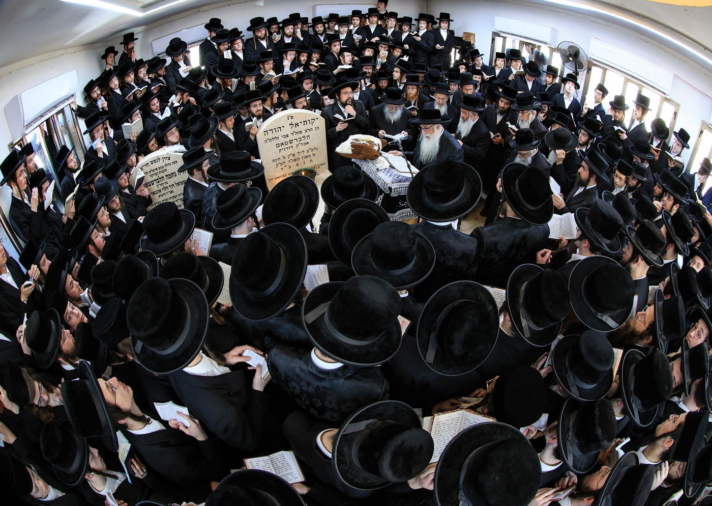 הילולא קדישא בצאנז