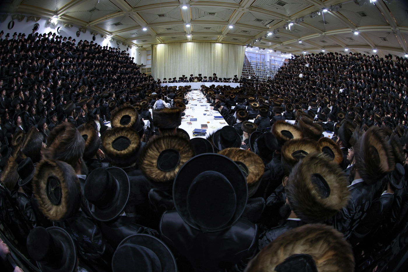 הילולא קדישא בצאנז