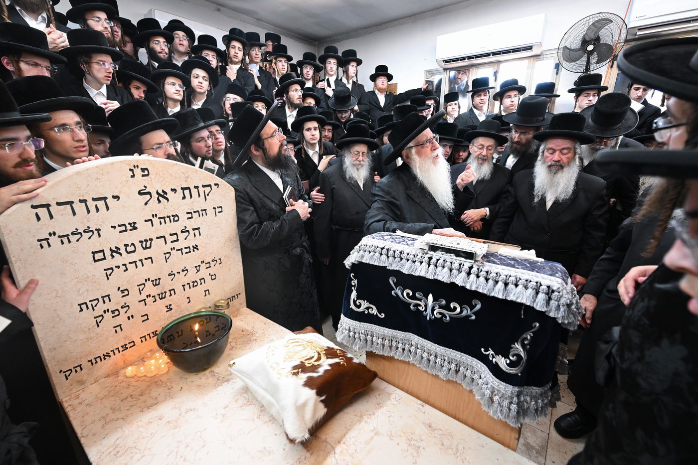 הילולא קדישא בצאנז