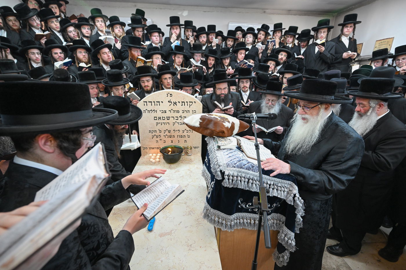 הילולא קדישא בצאנז