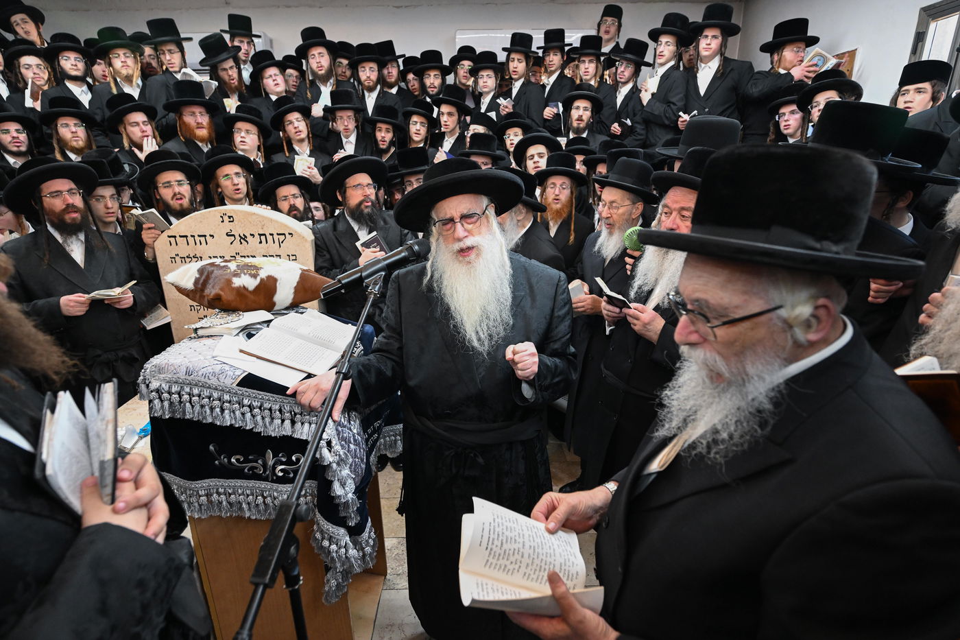 הילולא קדישא בצאנז