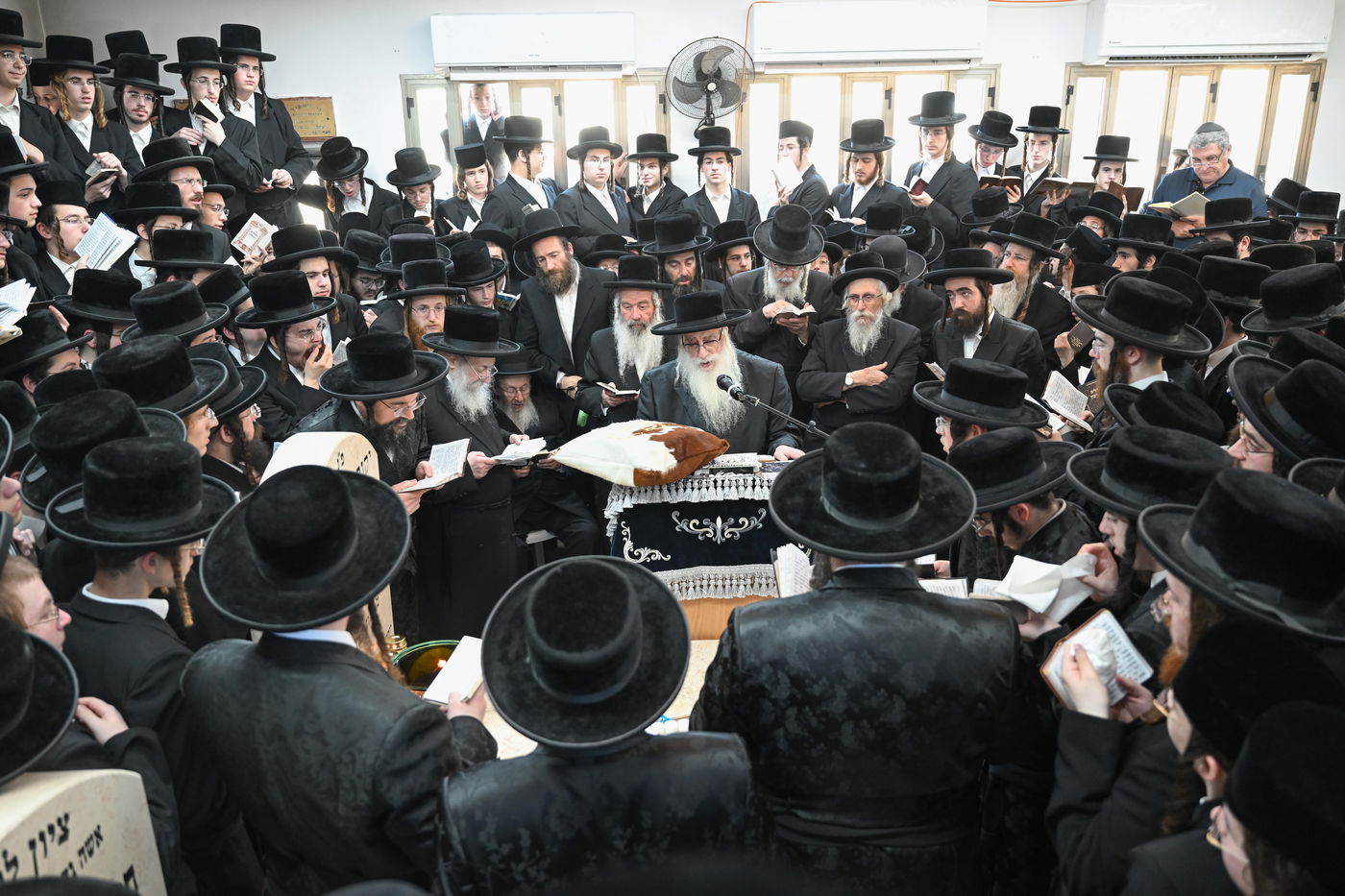 הילולא קדישא בצאנז