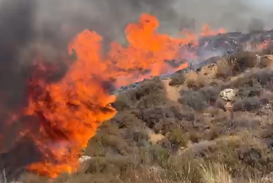 השריפה סמוך לאפרת: "מדובר בהצתה שמצטרפת לעוד הצתות באיזור" 