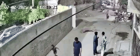 תיעוד מלחיץ: אריה ׳המחמד׳ זינק על האישה באמצע הרחוב - שלושה נפצעו