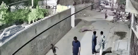 תיעוד מלחיץ: אריה ׳המחמד׳ זינק על האישה באמצע הרחוב - שלושה נפצעו 