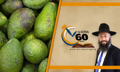 האם מותר להוציא גרעין אבוקדו מהמים בשבת - כדי שהאבוקדו ישחיר? • צפו 