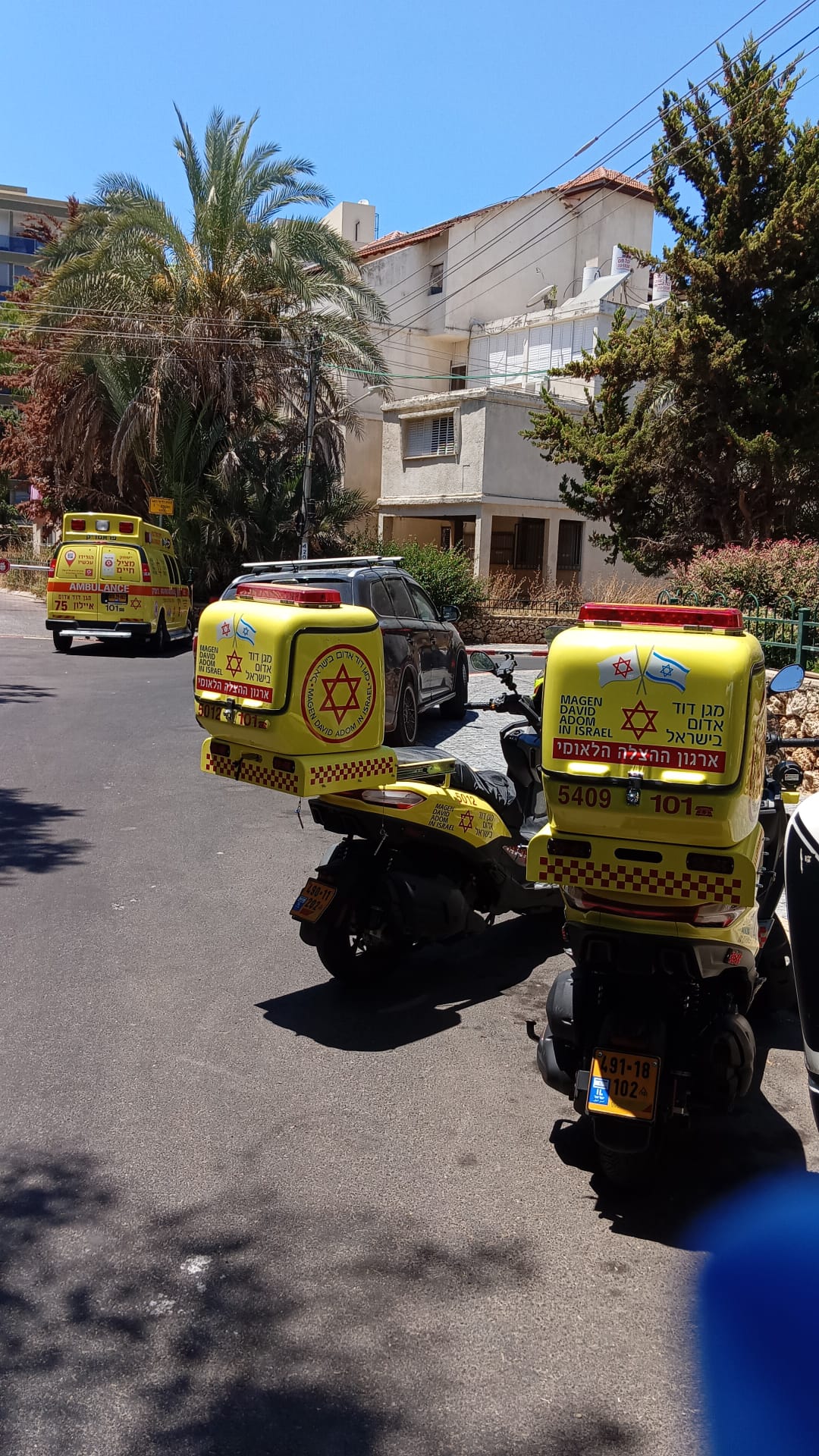 הזירה ביבנה