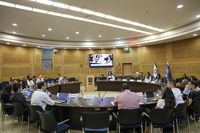 ועדת עובדים זרים בכנסת